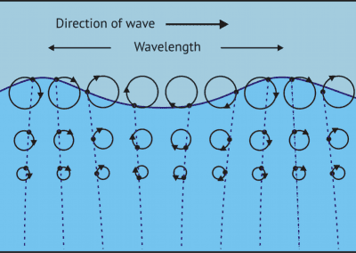 Buoy Dynamics – Thales